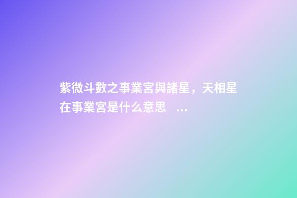 紫微斗數之事業宮與諸星，天相星在事業宮是什么意思？